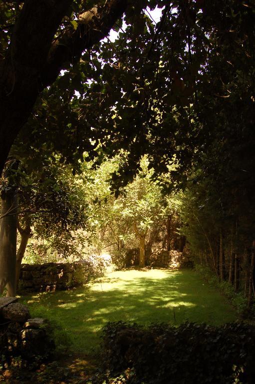 Masseria Convento Novoli Dış mekan fotoğraf